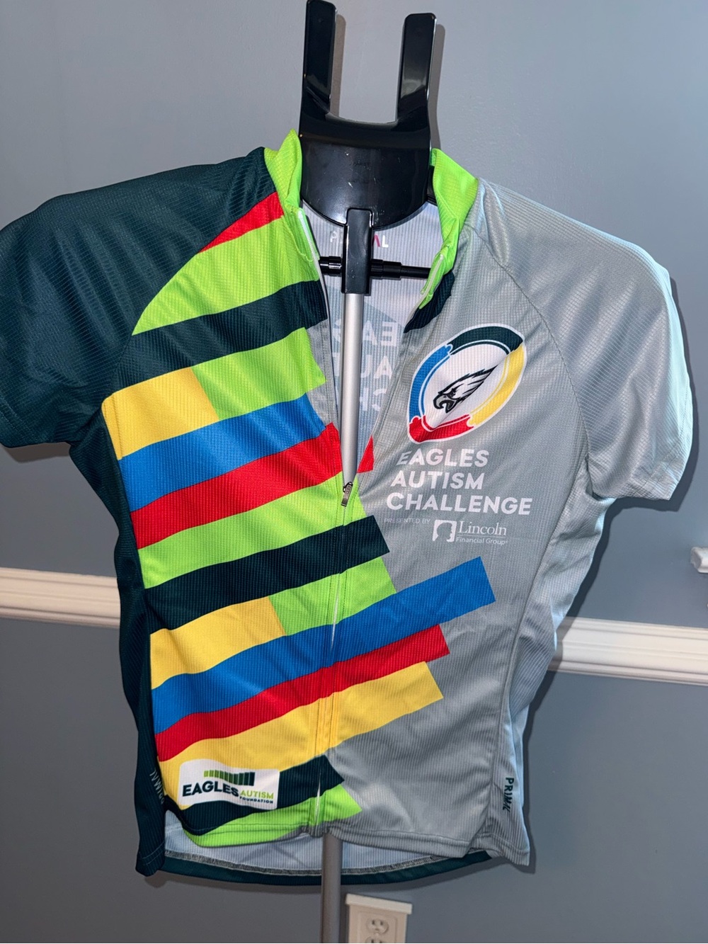 Eagles Autism Challenge Gray & Multicolor Men's Cycling Jersey